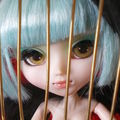 En Cage