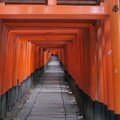 Mercredi 02/08 - Japon - Kyoto
