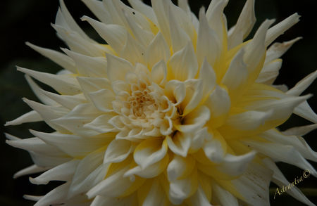 DSC_4136_border