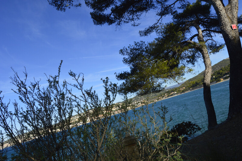 _DSC0341