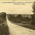 Eperrais sortie forêt