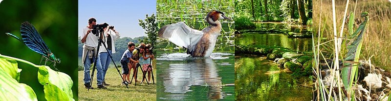 12728978440_Bandeau-Sorties-Nature