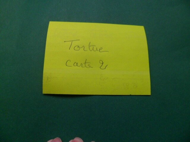 TIRAGE 2 TORTUE A