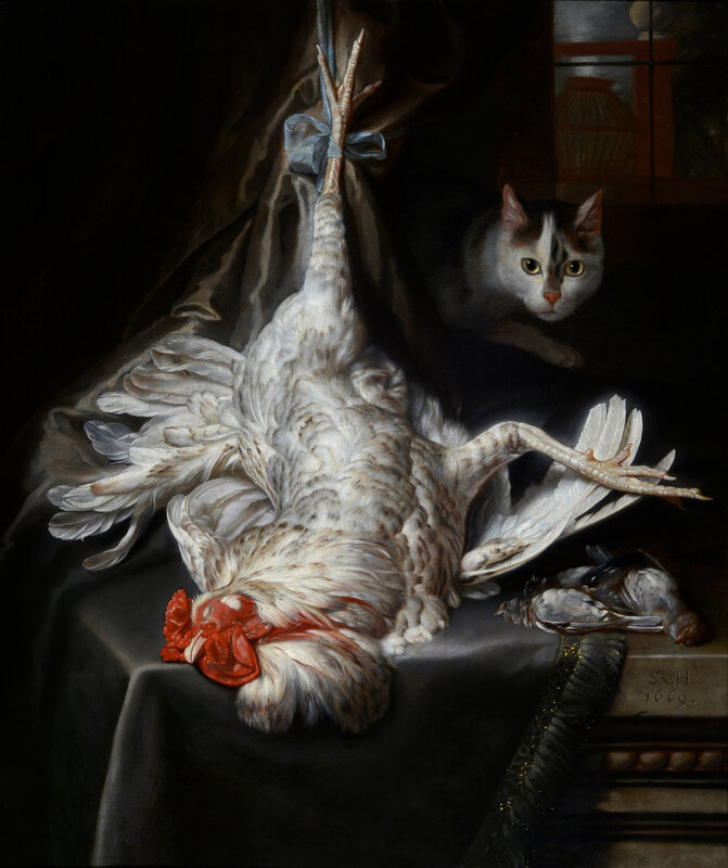 Samuel-van-Hoogstraten-Bird-Still-Life-with-Cat-1669-Collection-of-Dordrecht-Museum