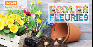 ecoles fleuries