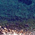 Les eaux claires d'Ibiza