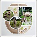 Pairi daiza 2014 - dromadaires