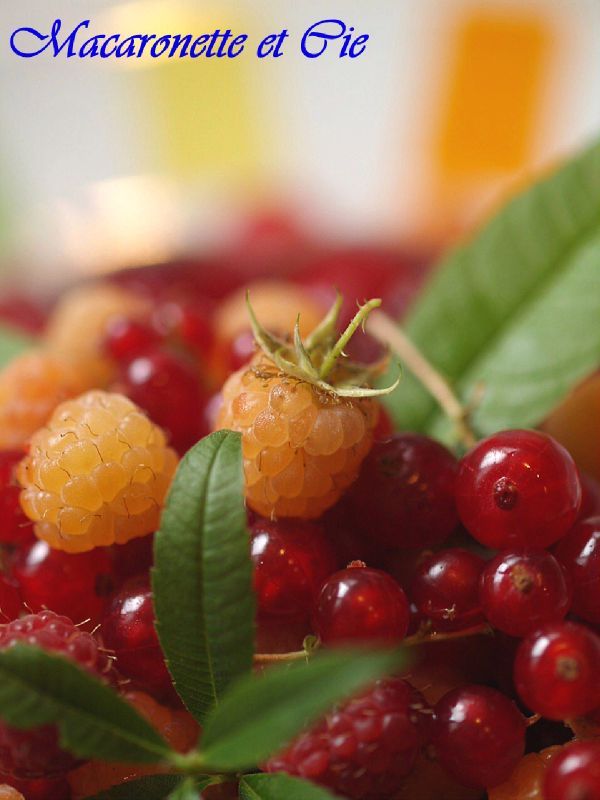 Aspic aux fruits rouges et cie