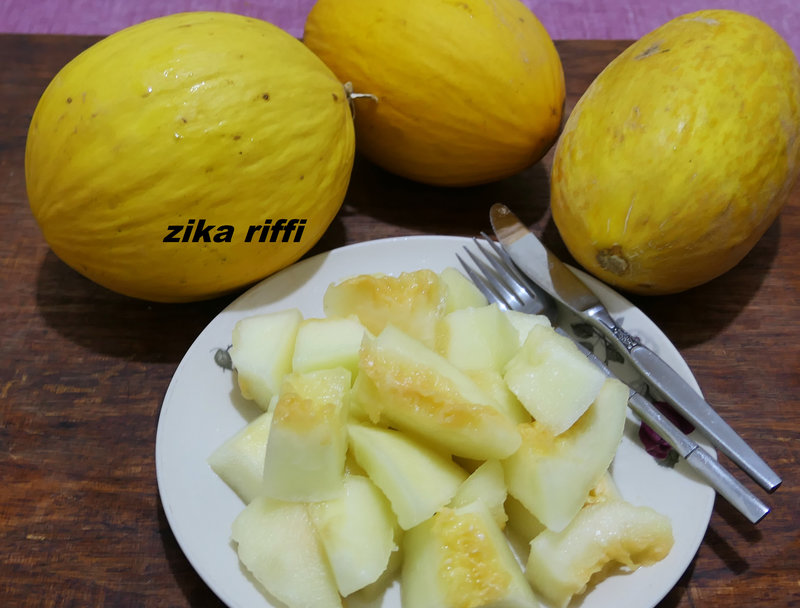 melon conserve pour l'hiver-3