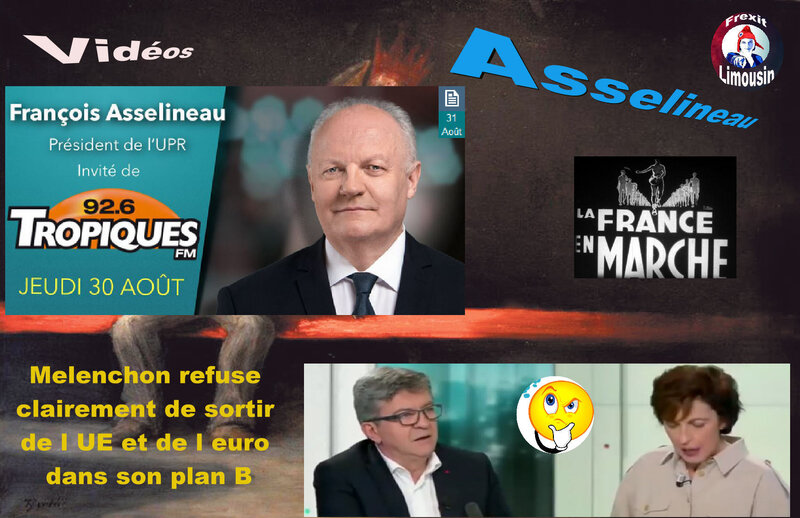 VIDS ASSELINEAU TROPIQUES