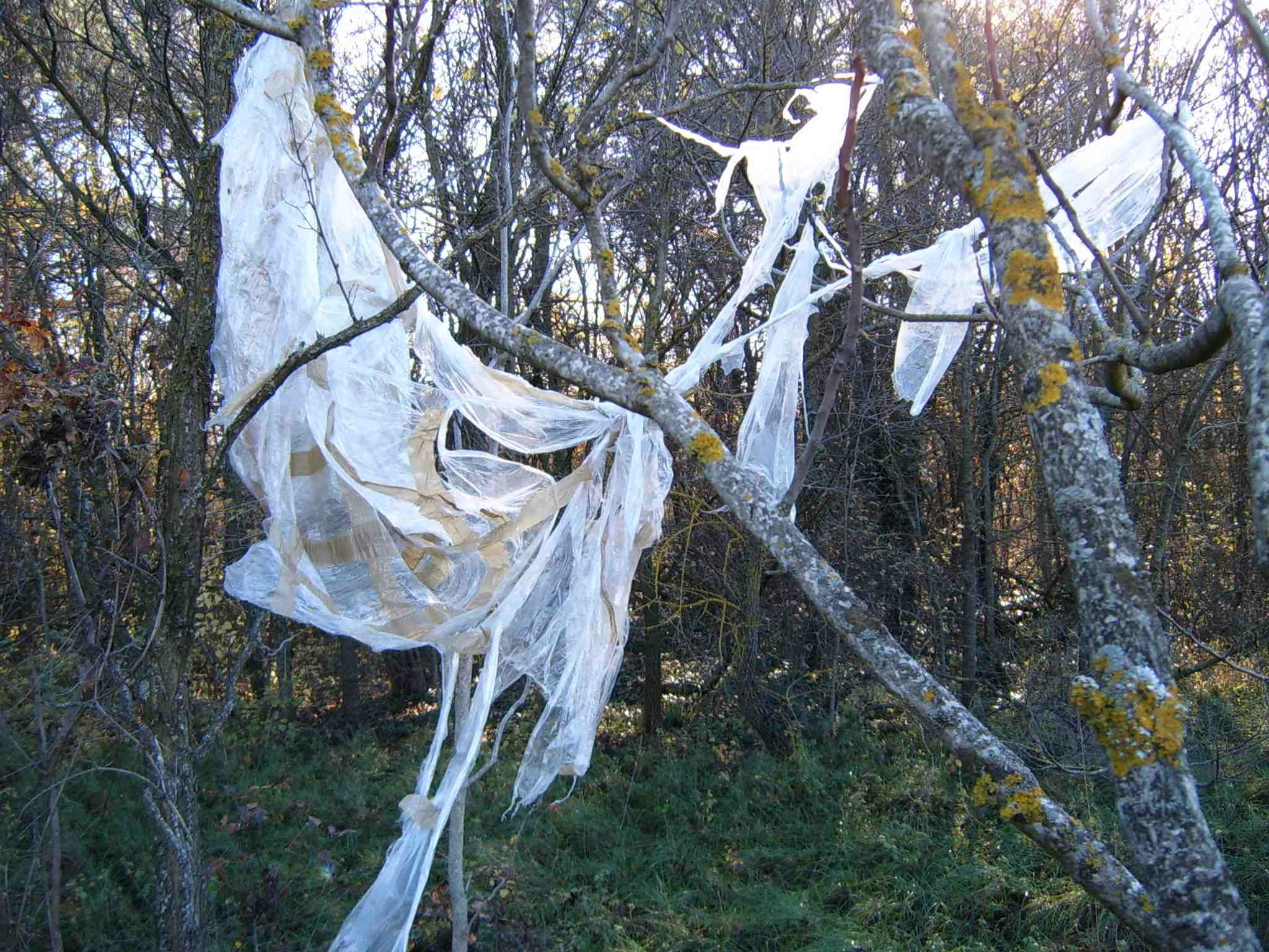 Déchets plastiques dans arbres transportés par le vent - déchets sauvages - pollution détritus