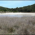 DSC08914