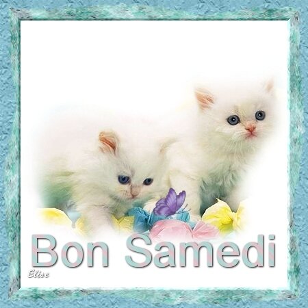 Bonjour Bon Samedi L Univers De Patounette Et Ses Amis Es