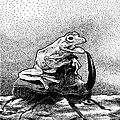 011