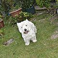 _DSC0065
