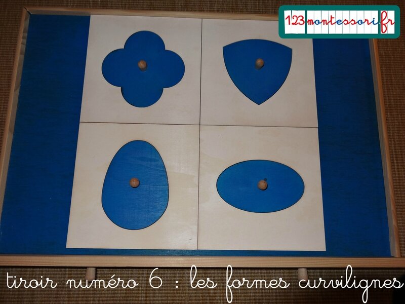 tiroir numéro 6 les formes curvilignes copie