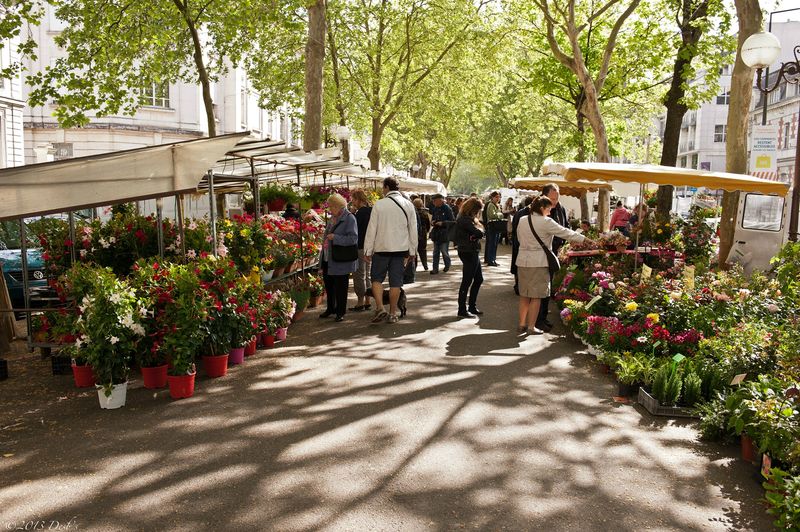 Tours Le marché aux fleurs  Mes Photos....