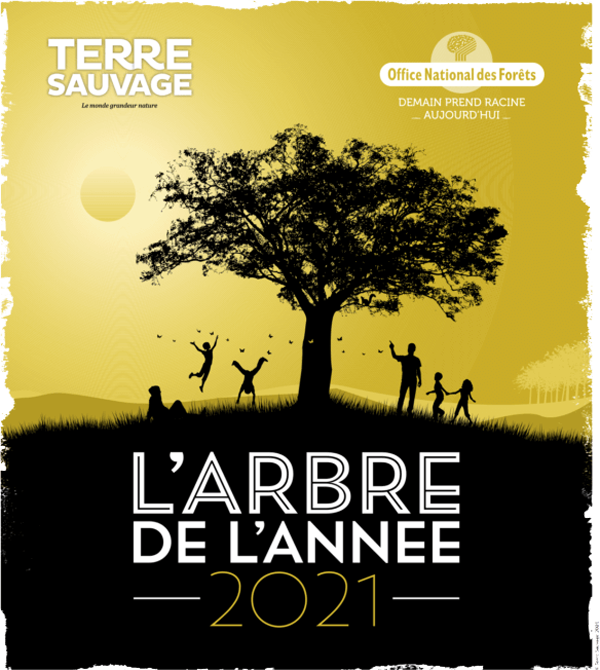 Affiche-arbre-année-2021