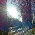 Balade le long du canal, Castets-en-Dorthe, 8 novembre 2015