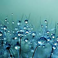 Ailleurs