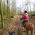 Balade à cheval dans la forêt P1080207