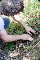 Soubry-Forest2Plate-15