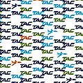 Nouveau design pour trans air congo