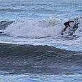 IMG_7007