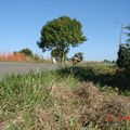 DSC00019_redimensionner