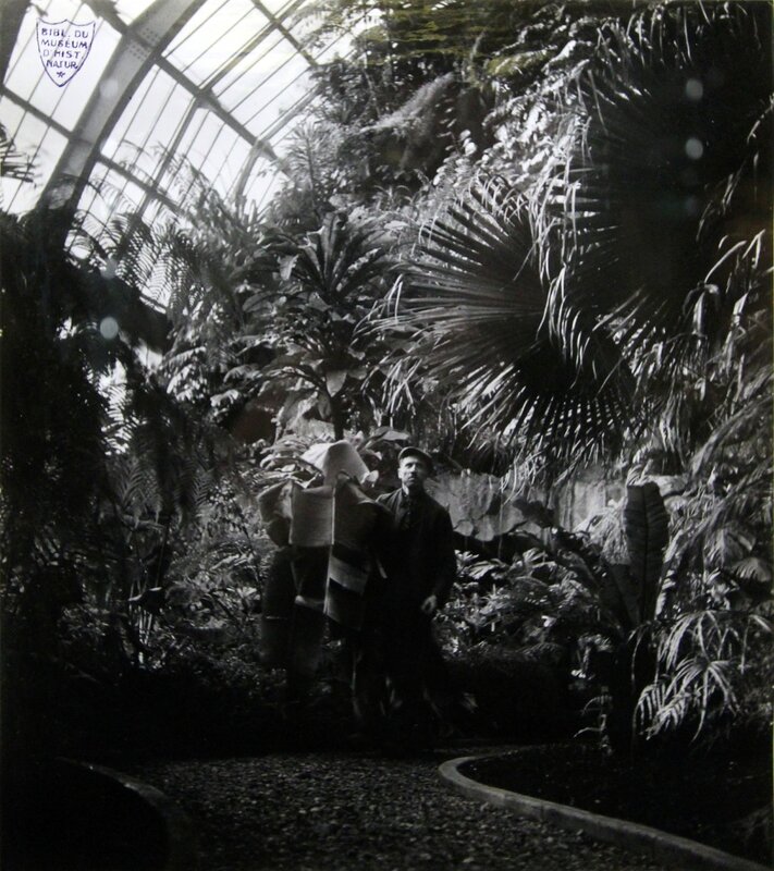 serres du jardin des plantes vues par Robert Doisneau