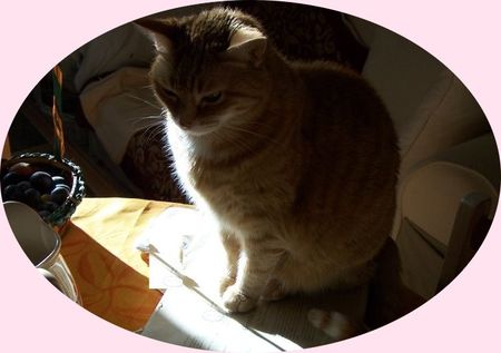 mimine