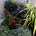IMG-20200509-WA0001