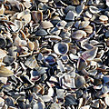 P1170401 - Copie