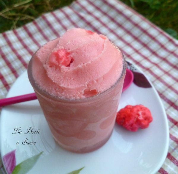 Glace pralines St Genix
