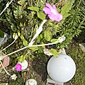 _DSC0023
