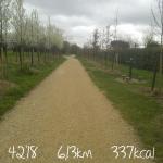 run 15