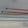 IMG_5806