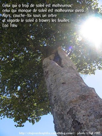 2008_5681