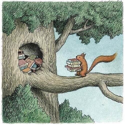 écureuil lecteur