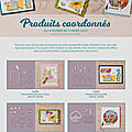 Produits coordonnés au mini-catalogue janvier juin 2020 et à la brochure sale-a-bration
