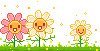 fleurs