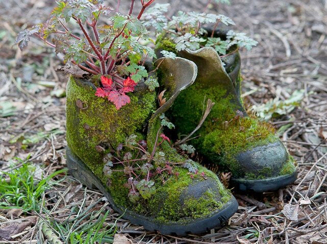 jardin dans la decobelge (73)