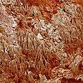 P1130714