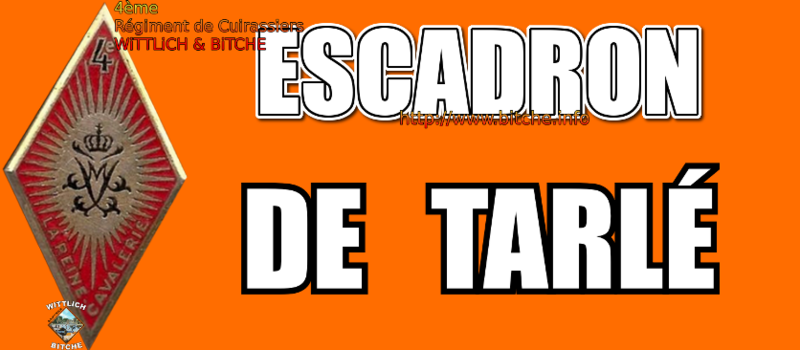 - PANNEAU d' ESCADRON CAPiTAiNE de TARLE