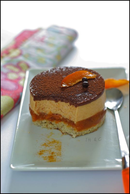 entremet_abricot_oranger