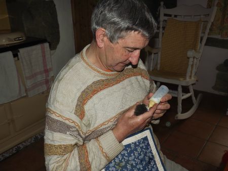 DSCF5422
