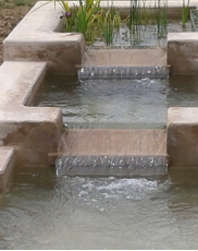 bassin aspect bassin d'arrosage 2