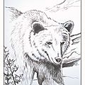 Coloriage artistique - dessin ours brun Ghislaine Letourneur