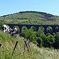 L'ancienne ligne de chemin de fer de Langogne au Puy en Velay