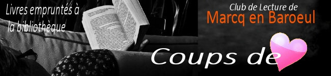 banniere coups de cour